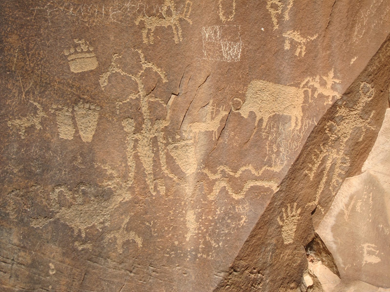 A bison or two, a skeleton, a snake or three