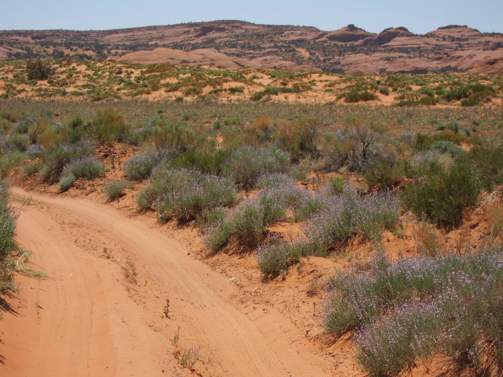 Some idea of the terrain.  Very beautiful, but certainly not something you would look forward to...