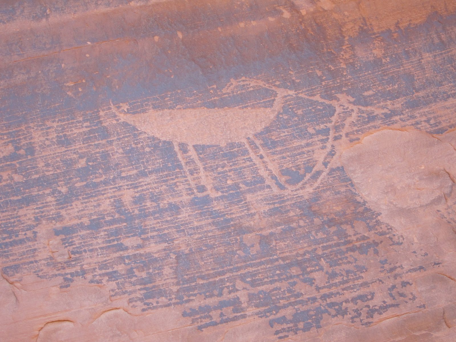 "Proof" that the Indians had domesticated antelope