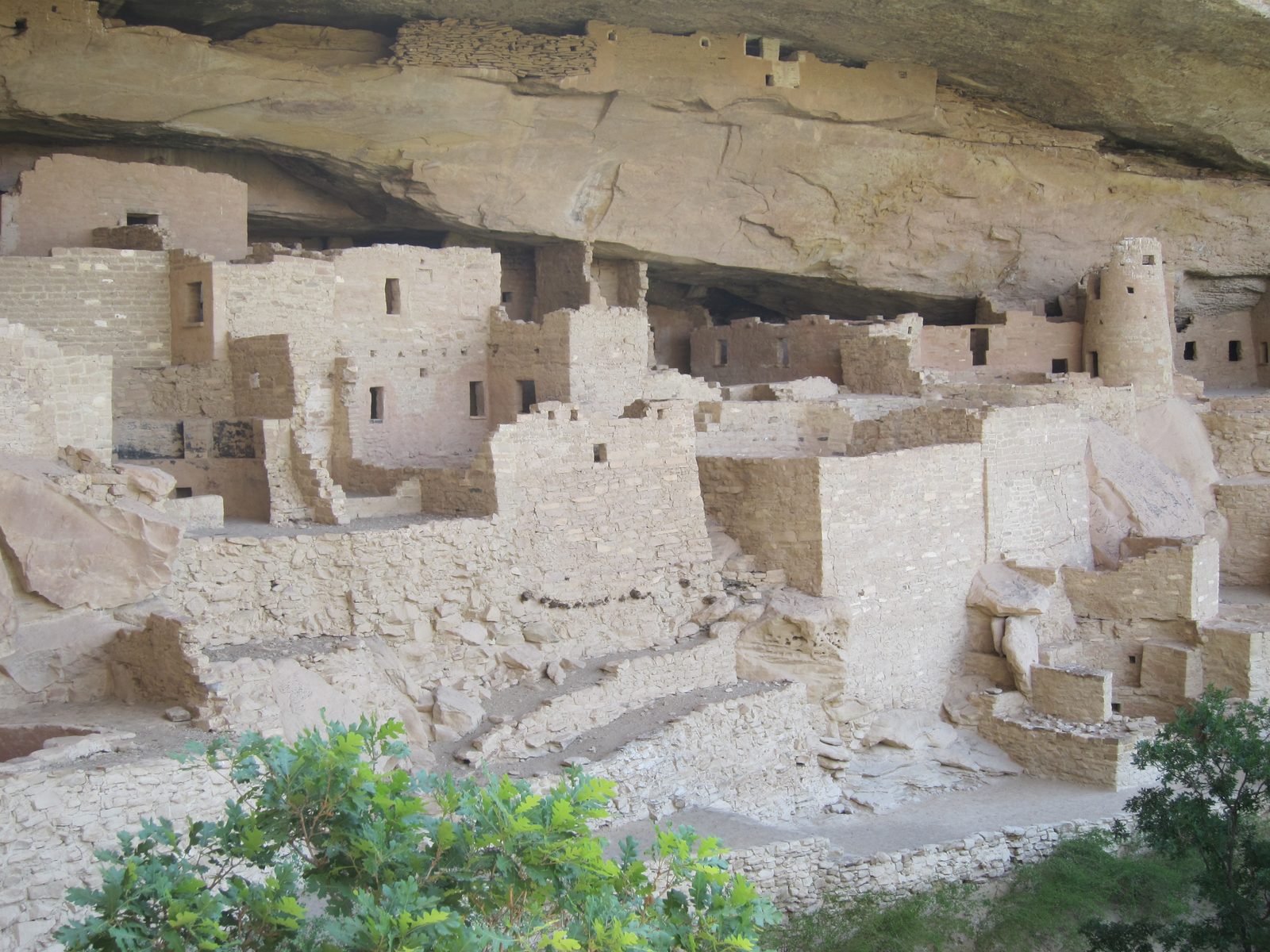 Sort of like this picture.  Note the up high storage places.  Time frame:  900 - 1200 AD.  They...
