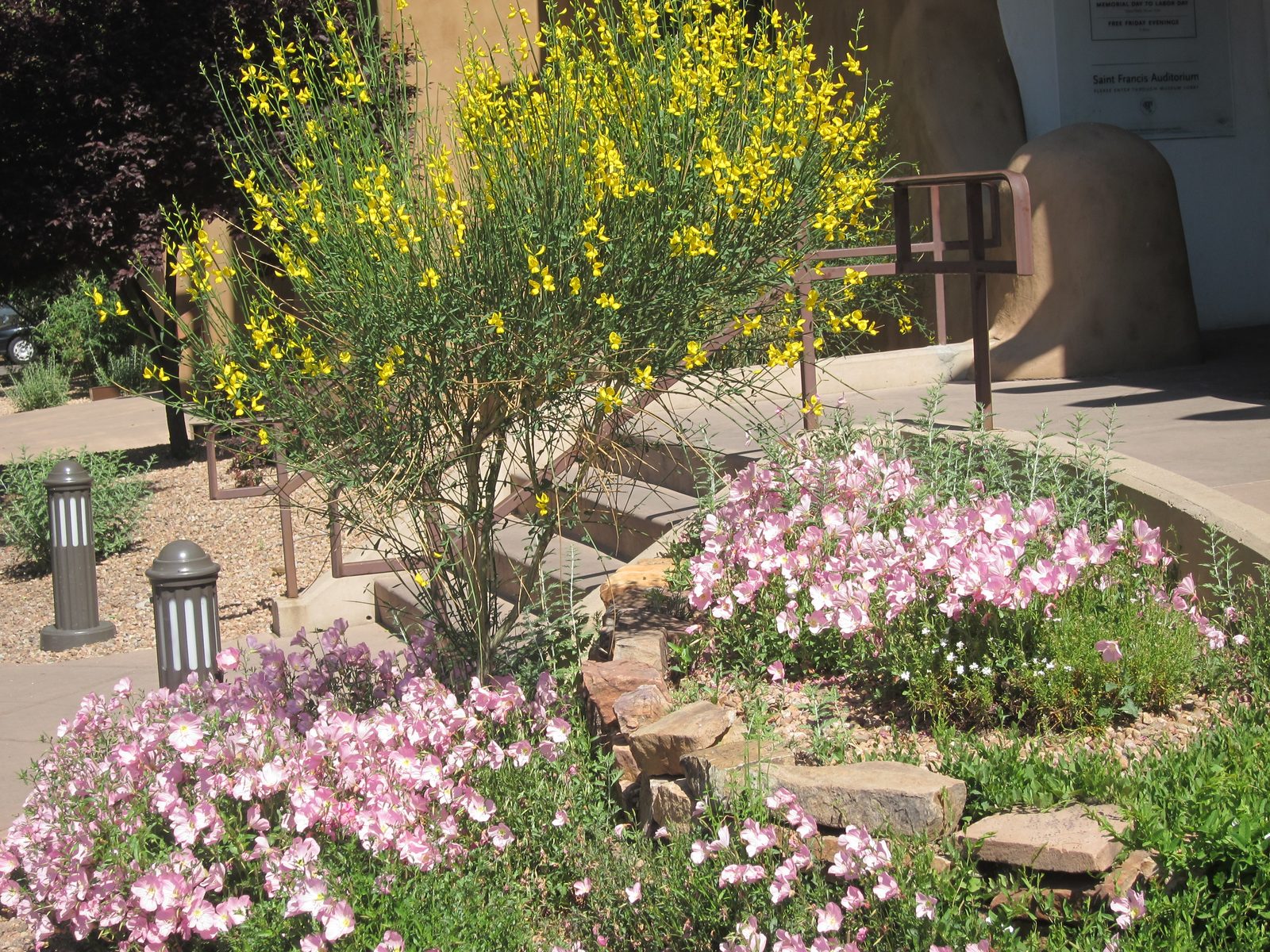 Flowers outside our hotel, the Inn at Loretto