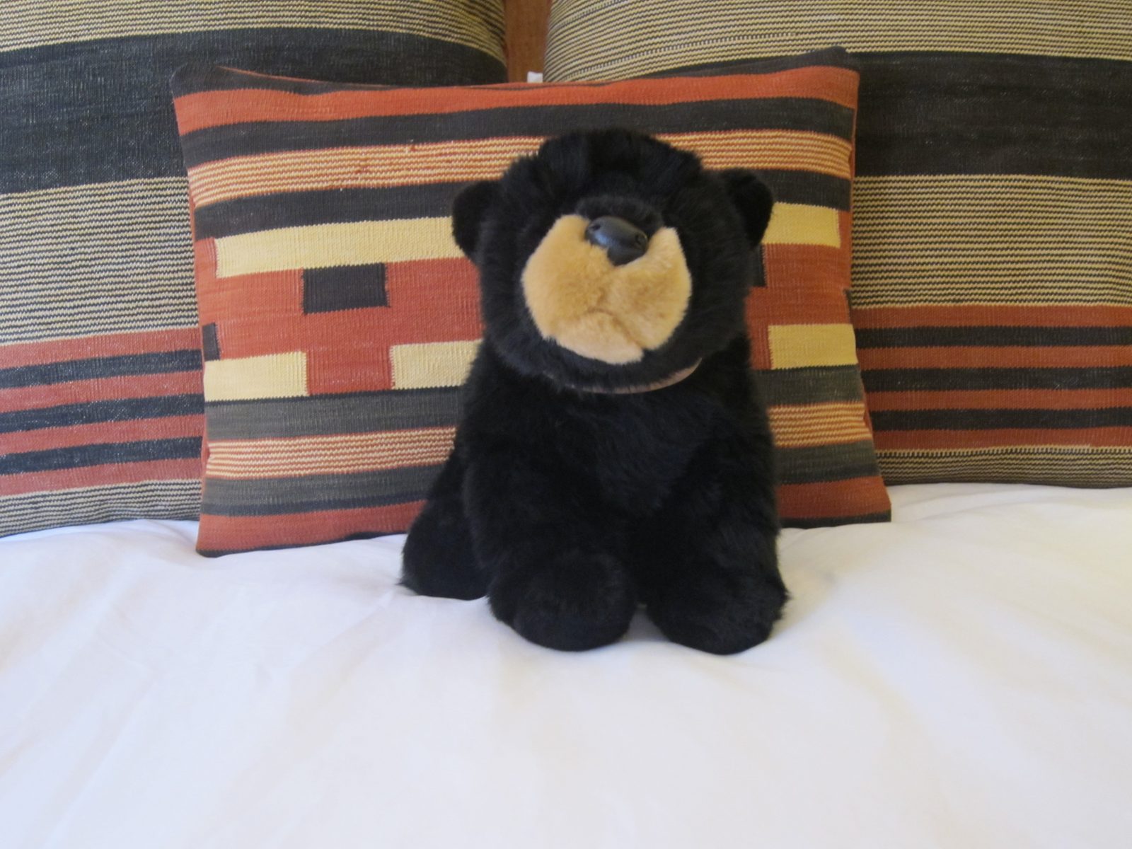 A bear who sat on our bed ... no sign that said we could take him home, so he stayed there.