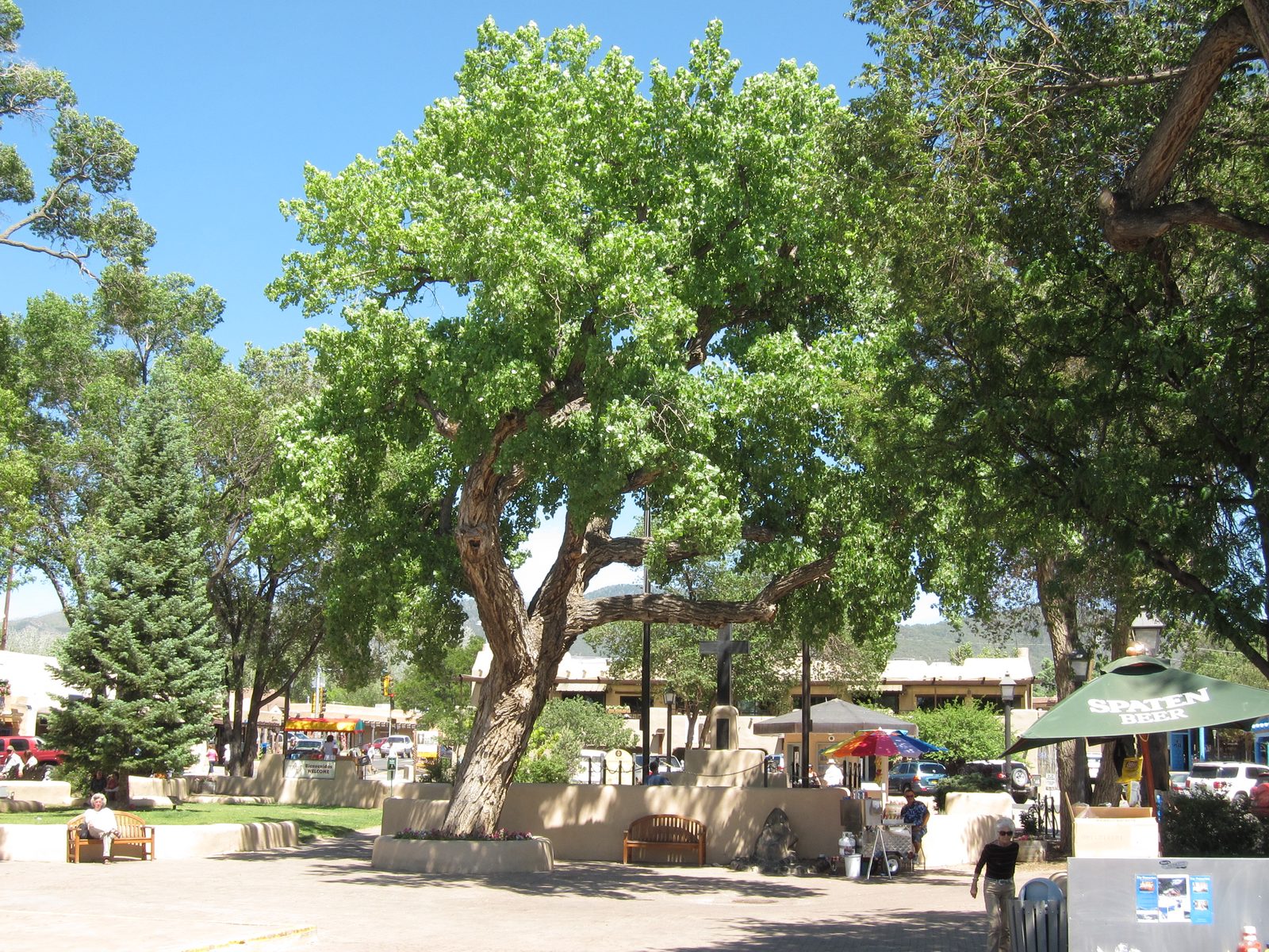A more bucolic view of the Town Plaza of Taos.