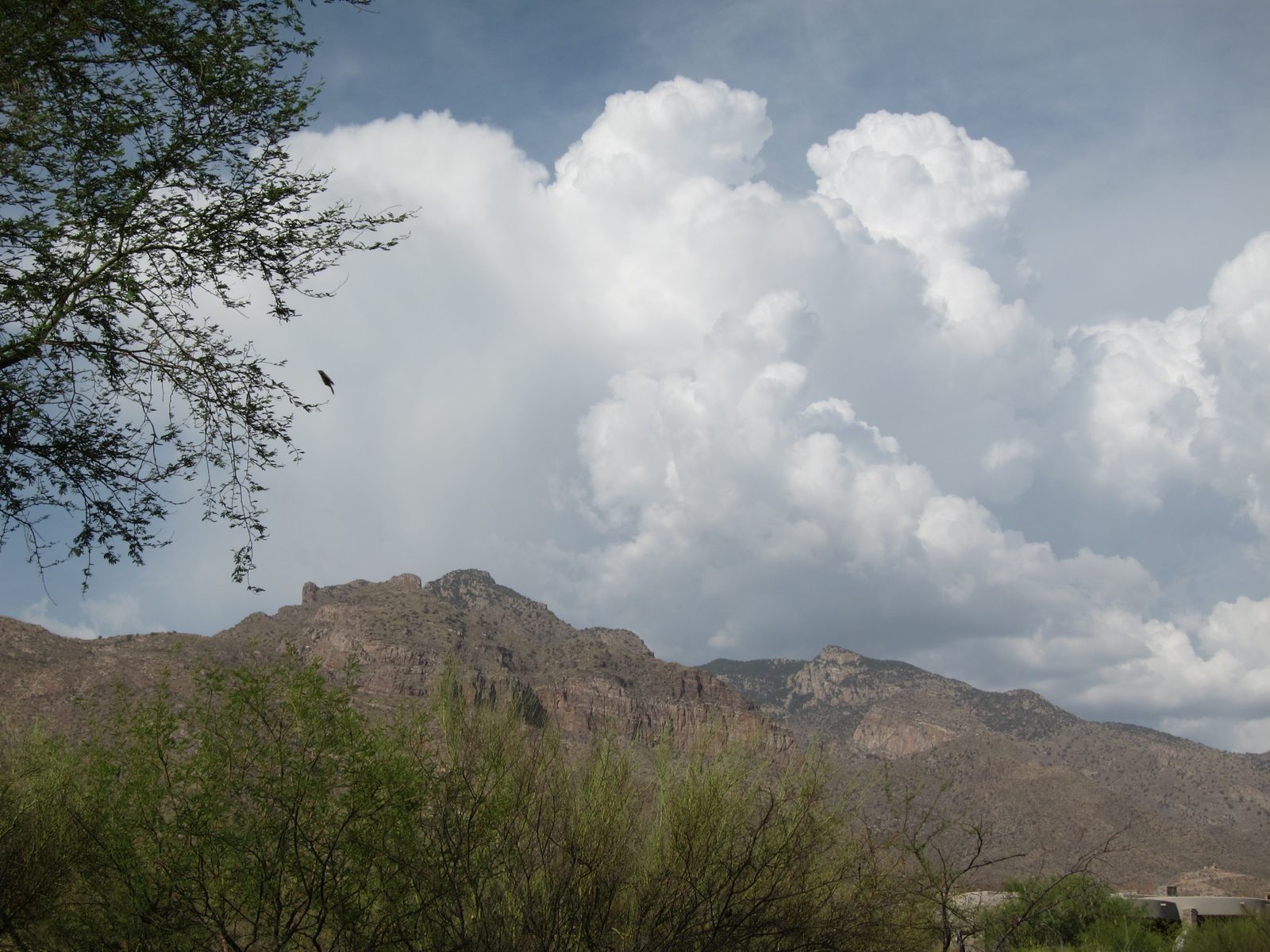 Rather typical build up of thunder heads during monsoon season.  Whether or not it brings rain...