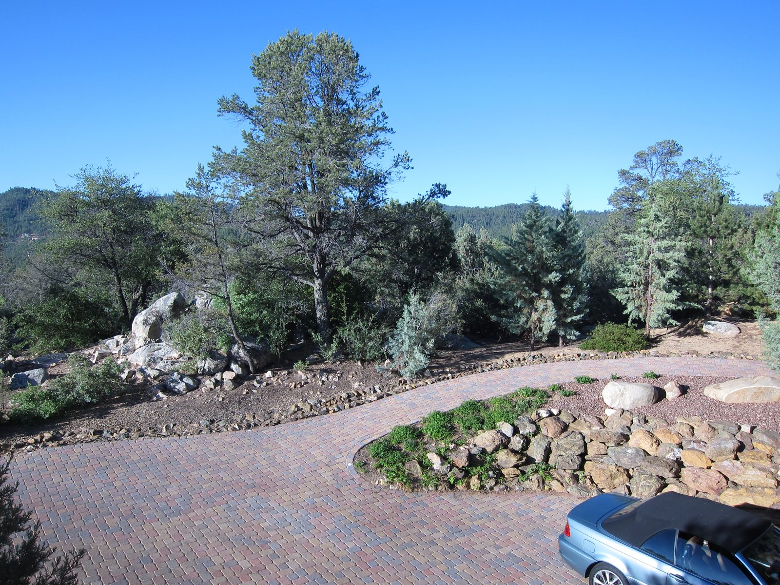 Backyard, looking west from the Sellers' backyard.