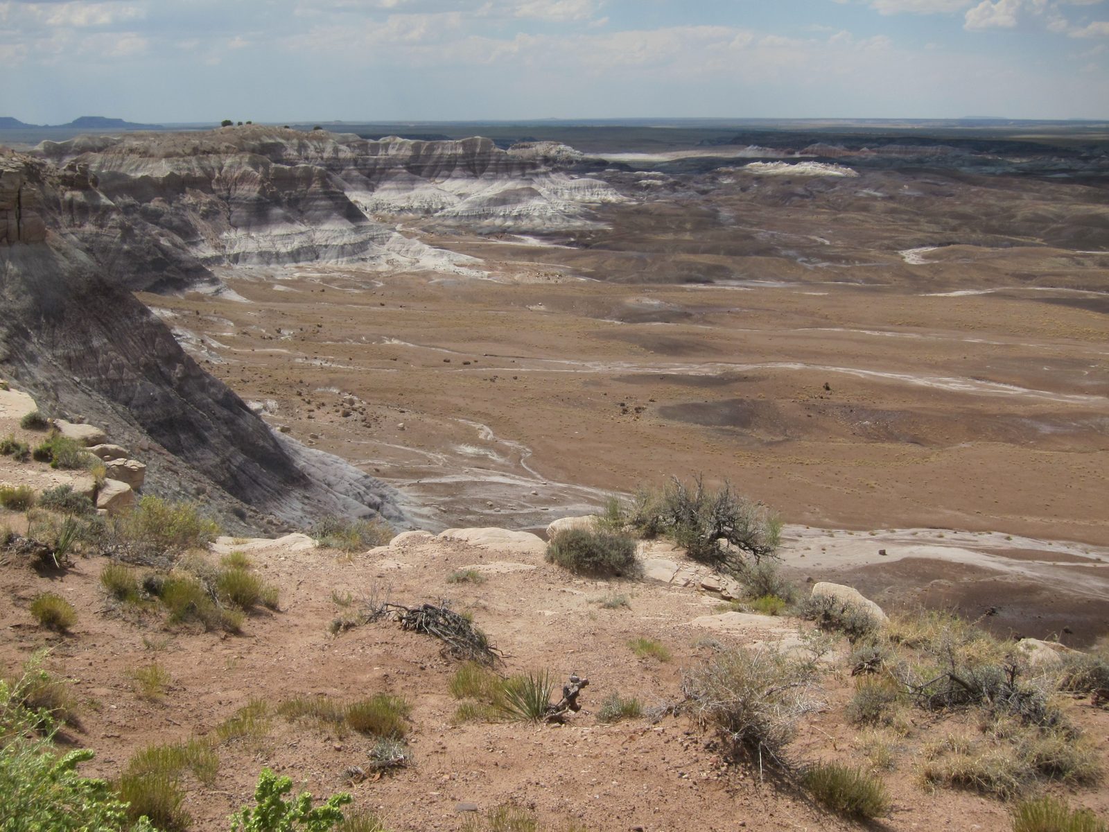 This area is known as "Bad Lands" because of the barrenness and the visible mineral deposits