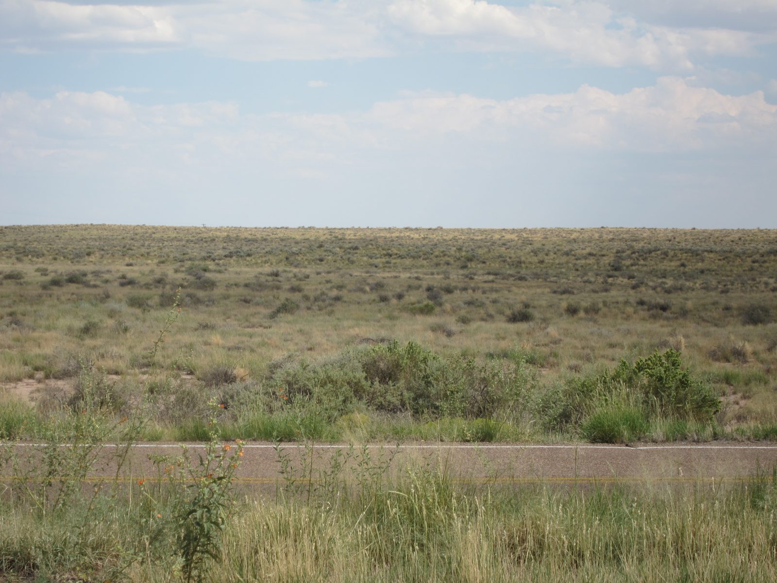 Oh ... and across the road from the dunes is open prairie.