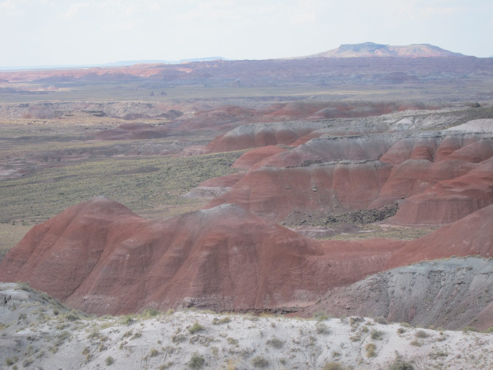 A little further north we get into "Painted Desert" land