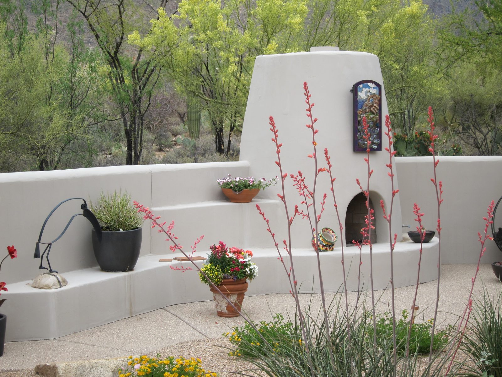 Some palo verde outside the wall