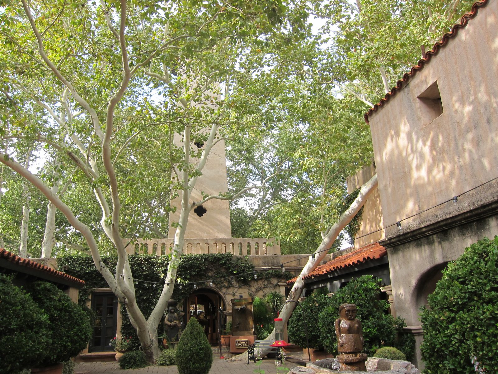 The campanile in Tlaquepaque.  The Arizona sycamores are wonderfully expressive trees