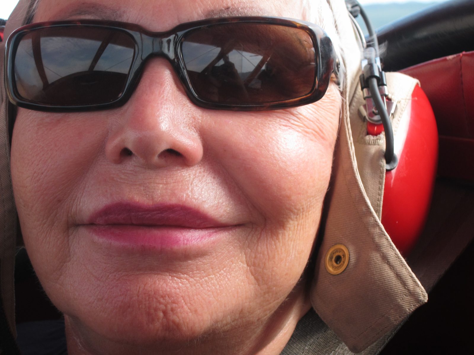 Close up of Hedi