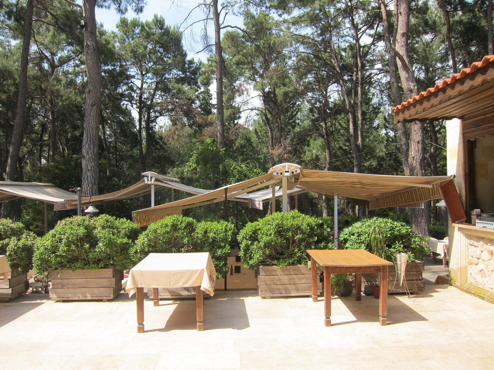 We had lunch under the umbrellas .. don't know why I took this shot of the tables.
