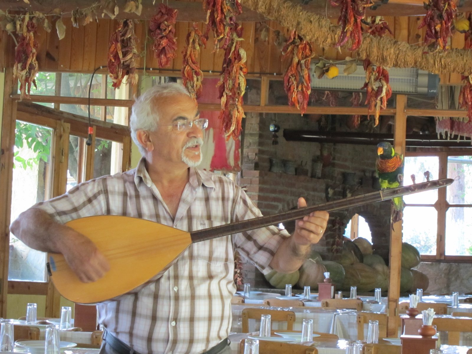A lovely luncheon in the seeming nowhere between Pamukkale and Kasadui on the Aegean.  This...