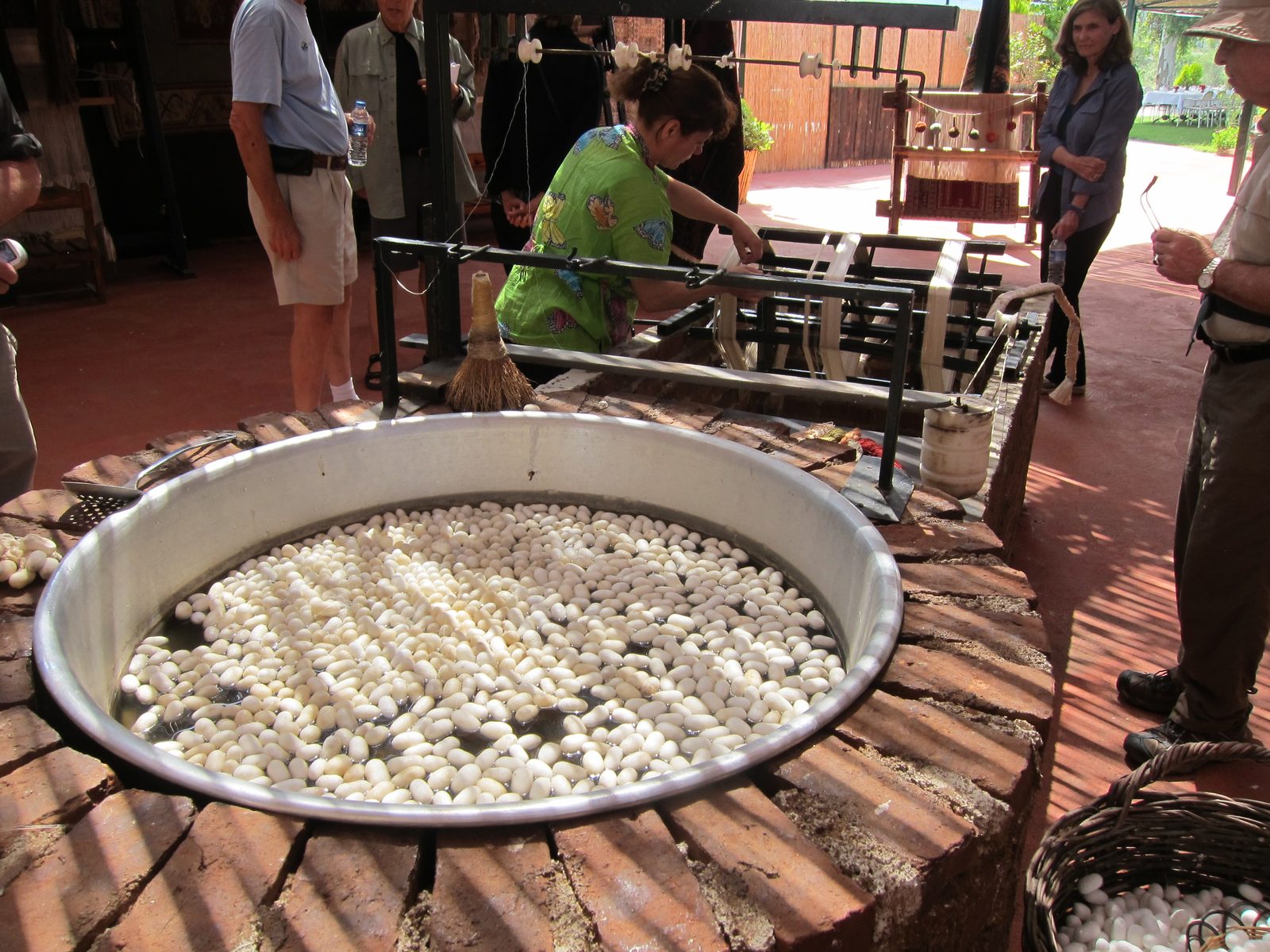 Three guesses, and first two don't count.  Silk larva who have spun cocoons of silk around...