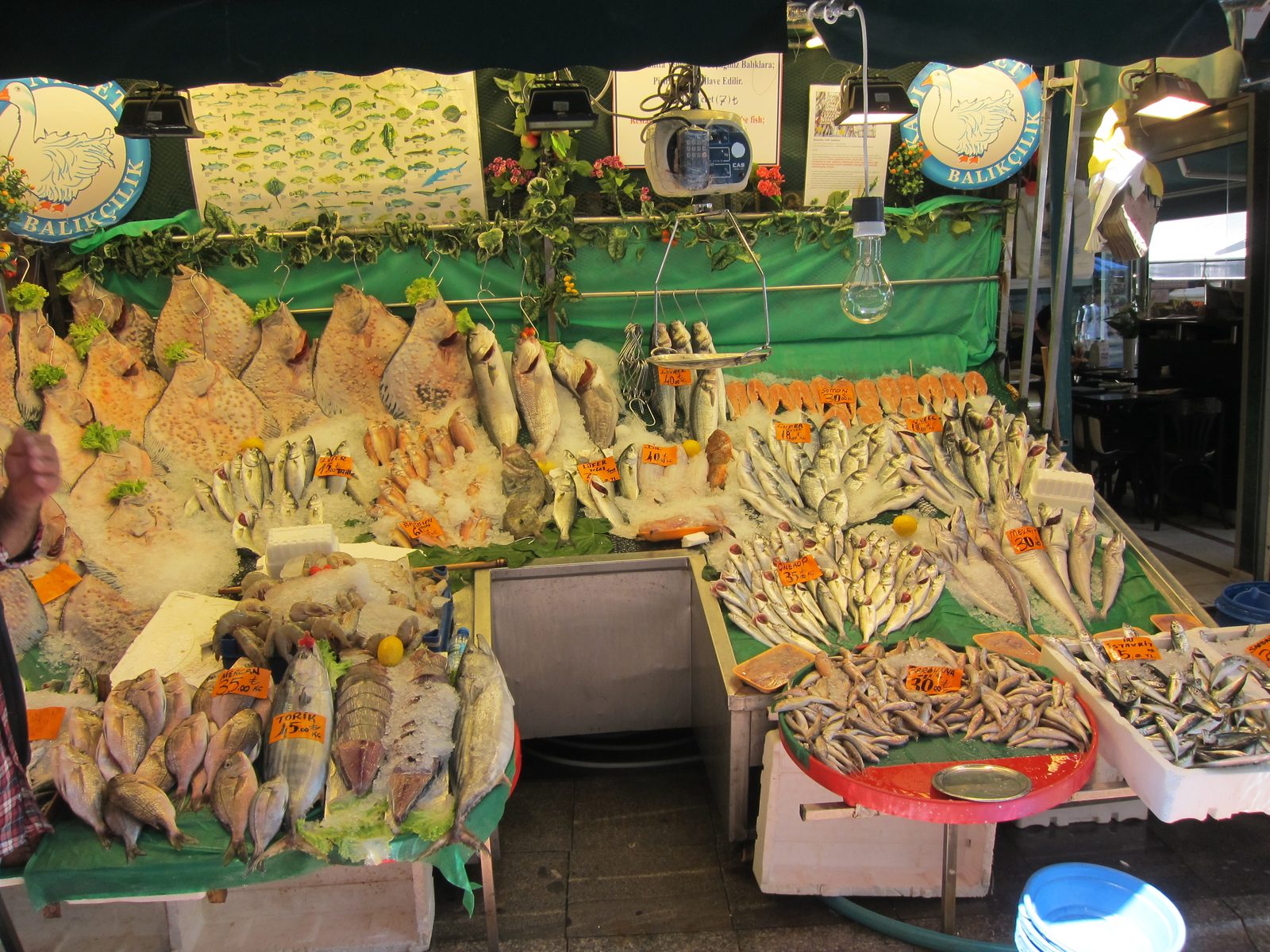 I am assuming he knows who butters his bread.  The market is in Ortokay, a residential...