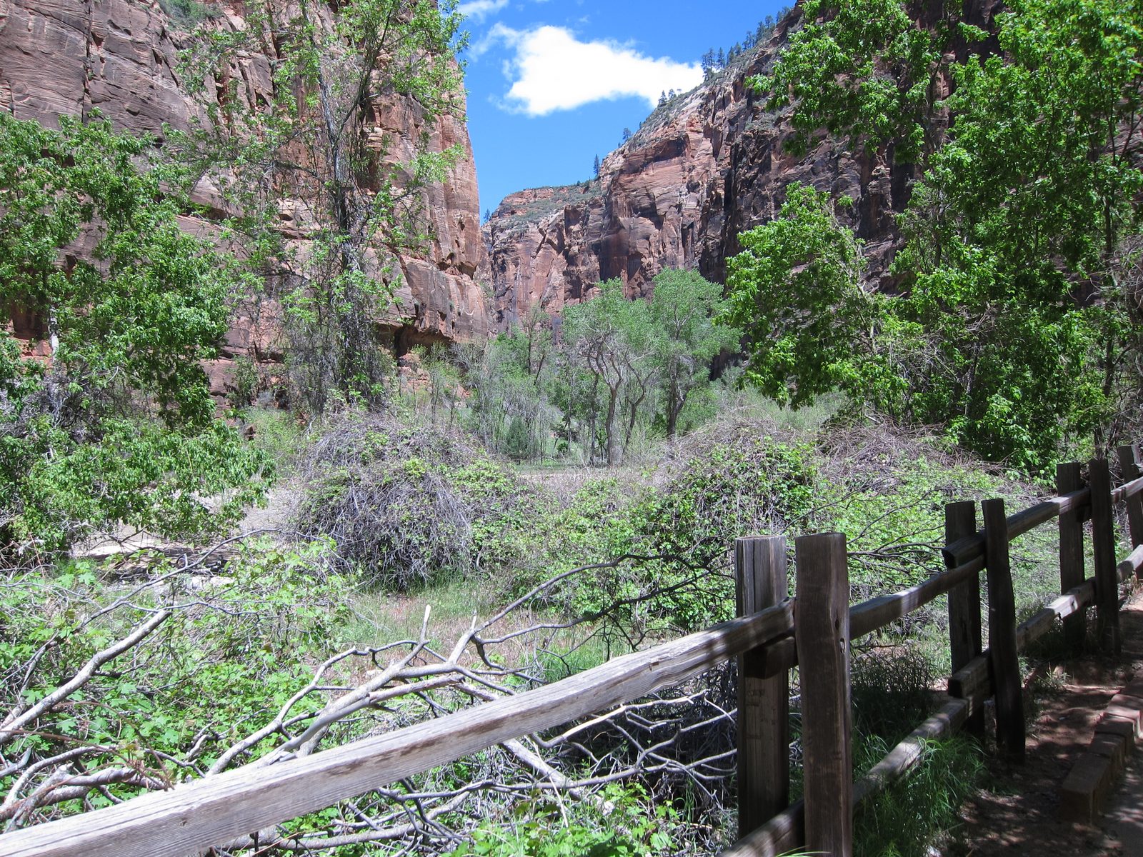 In the Canyon now