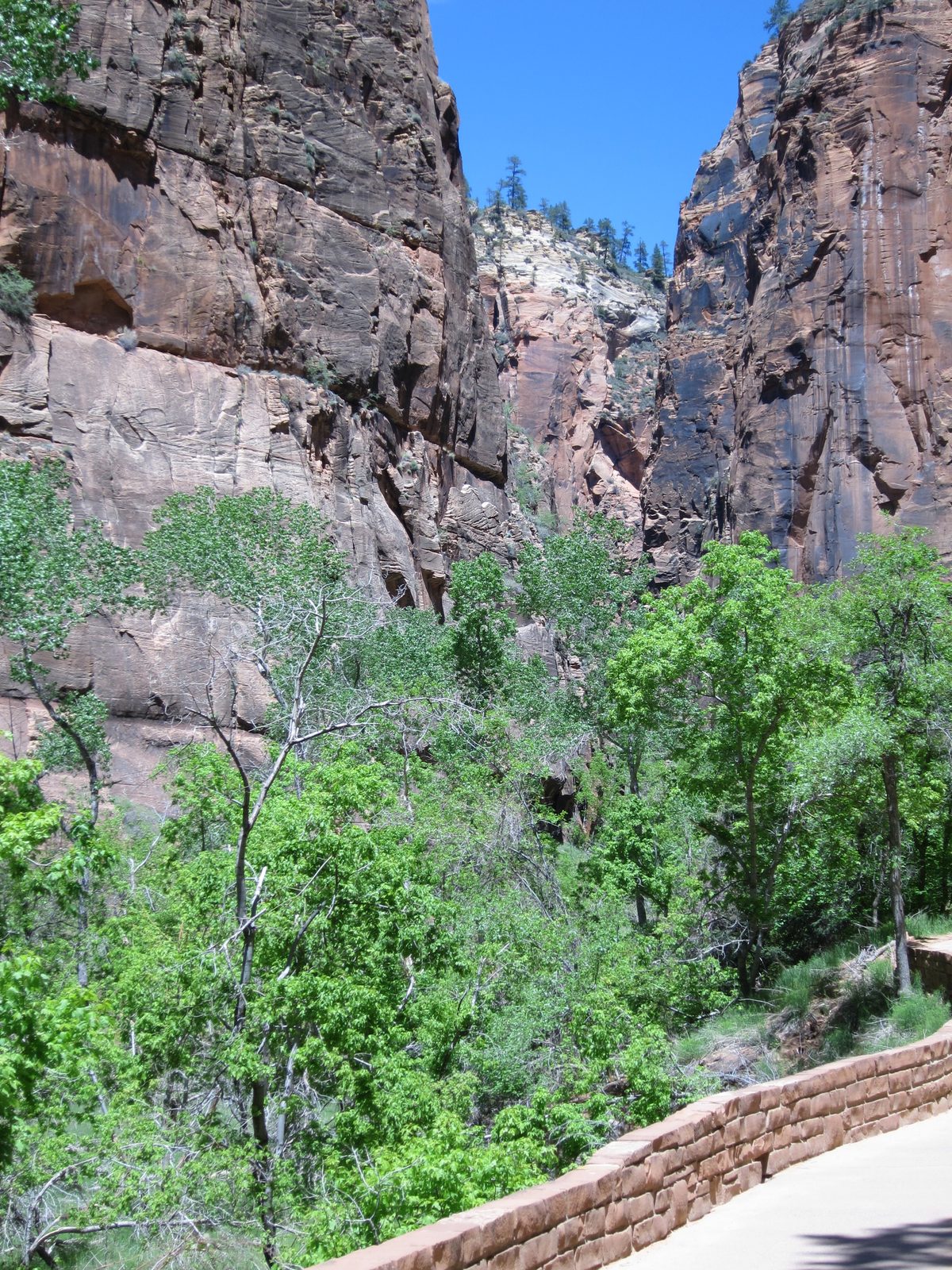 A view up canyon toward the Narrows