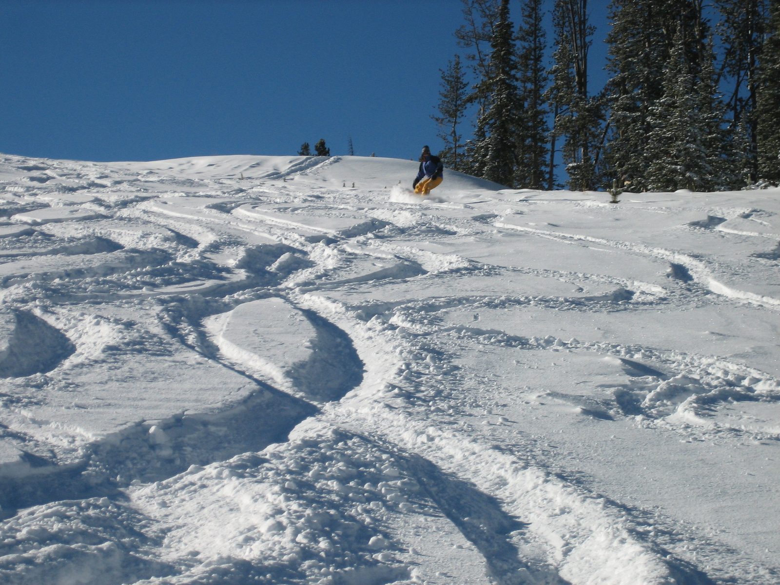 Catherine heel side on Powder river.