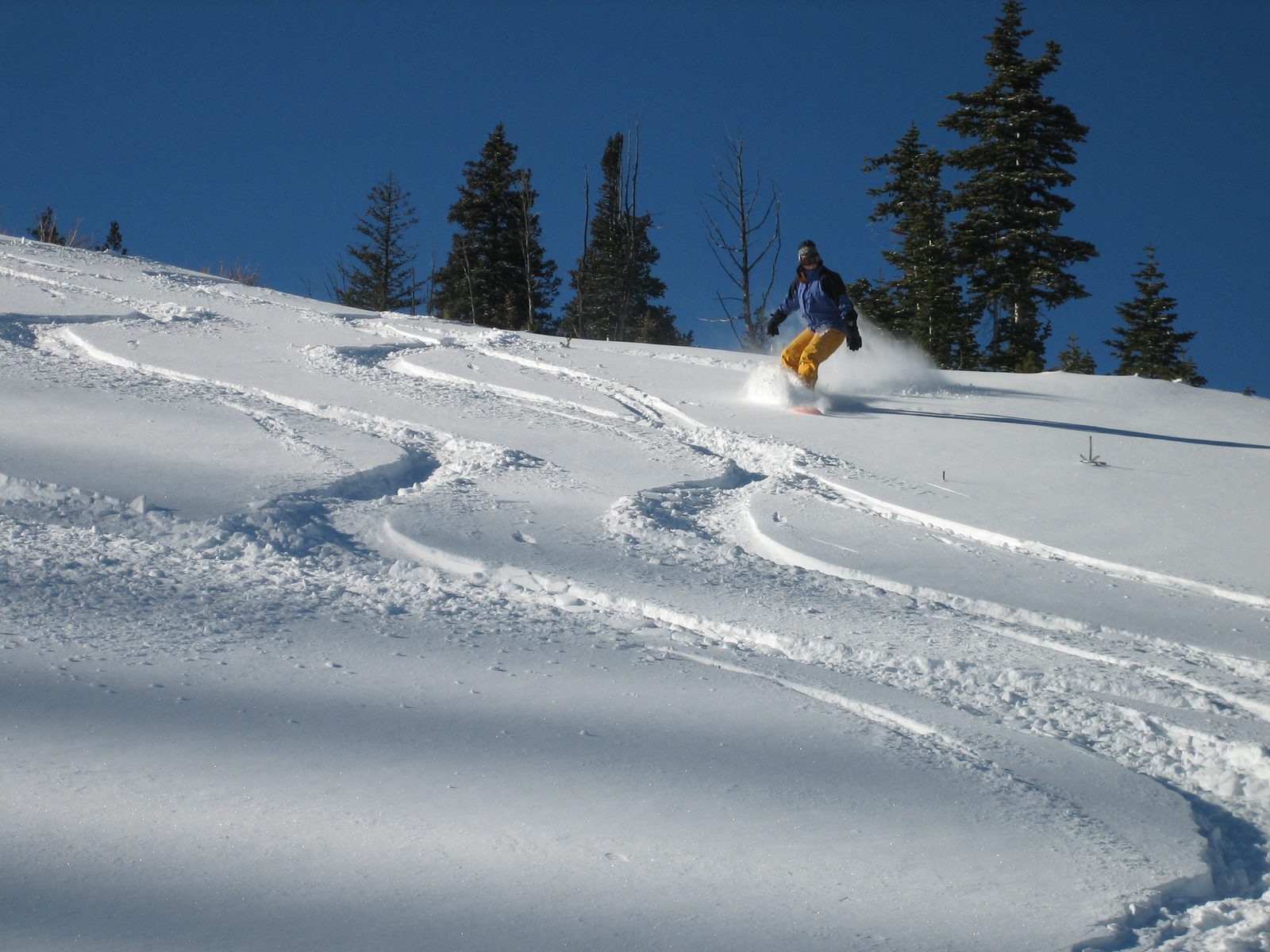 Catherine with a powder rooster tail at Moonlight Basin on Christmas Eve.