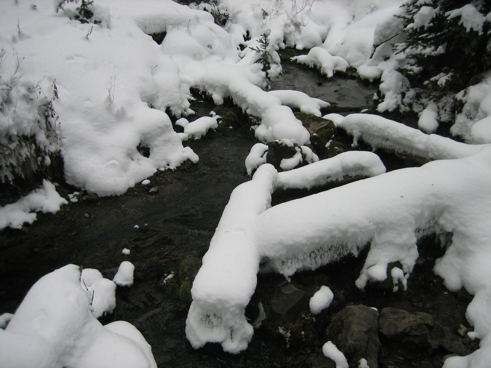 A winter stream.  On the way to Ousel Falls.