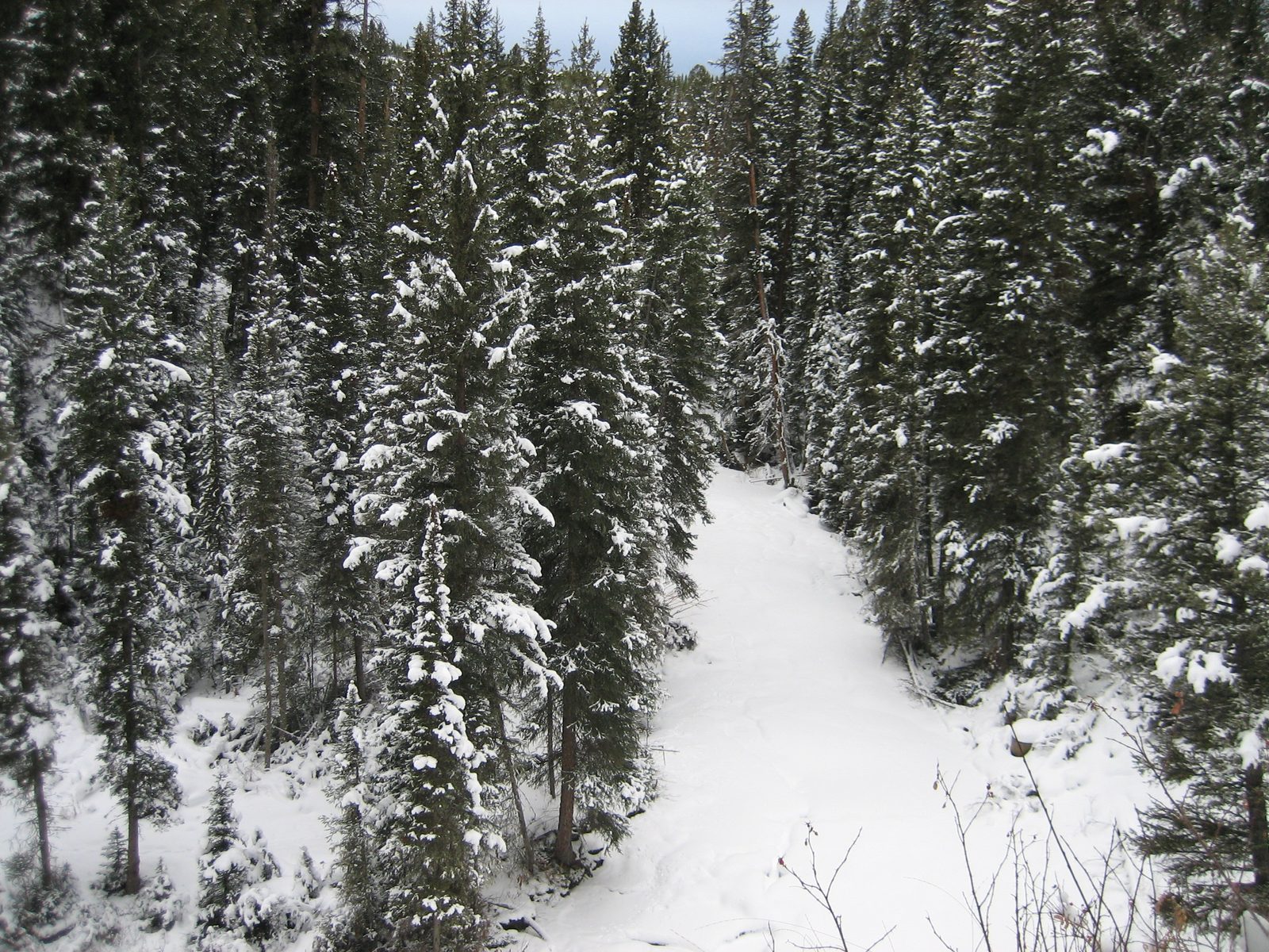 Looking down on the frozen river.