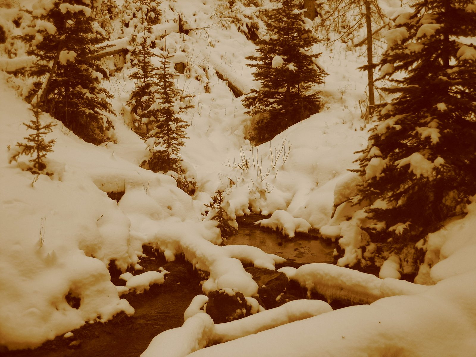 Using one of the filters on Catherine's camera to look at the river flowing by and the...