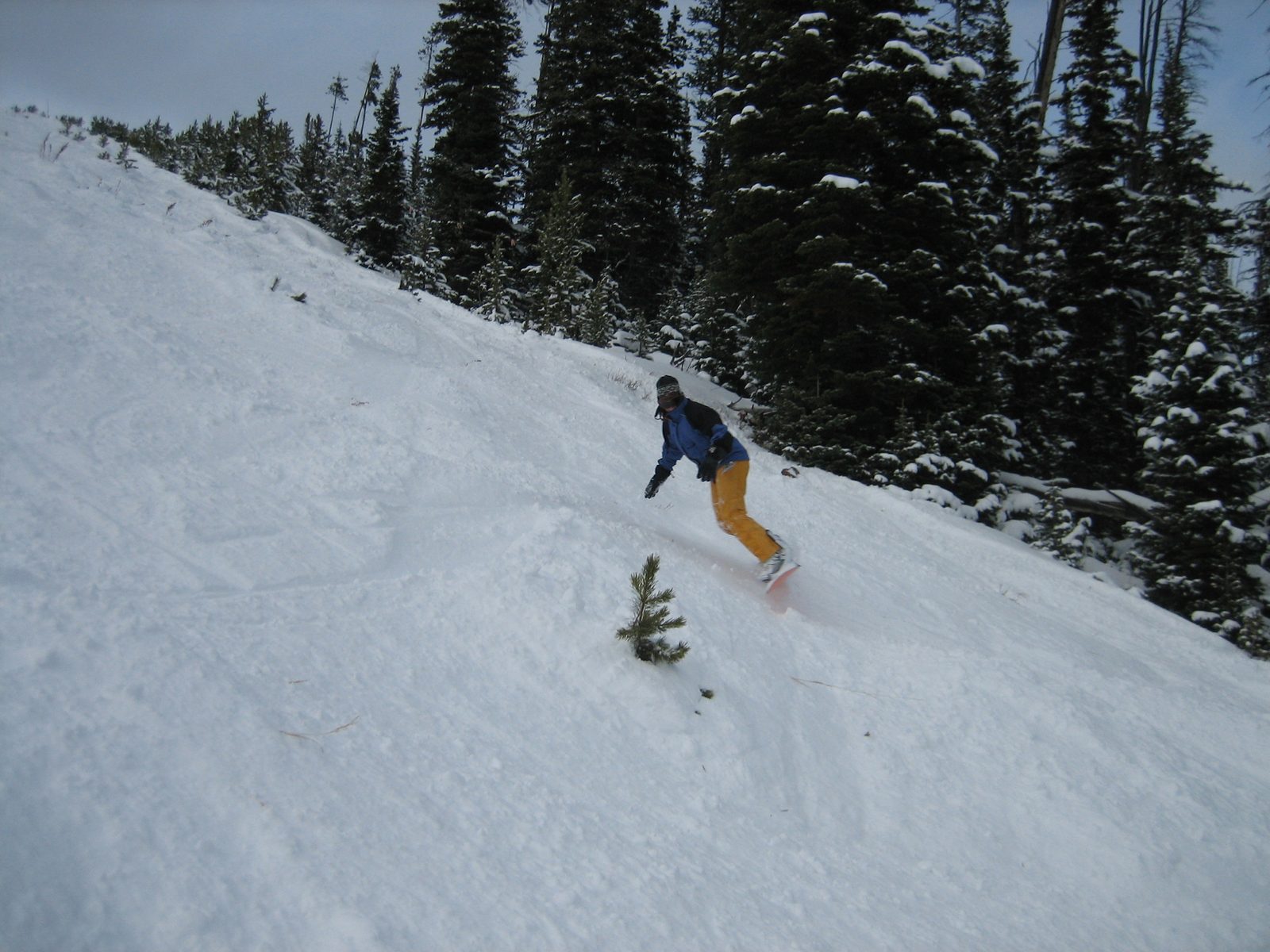 Catherine traversing on Big Horn.