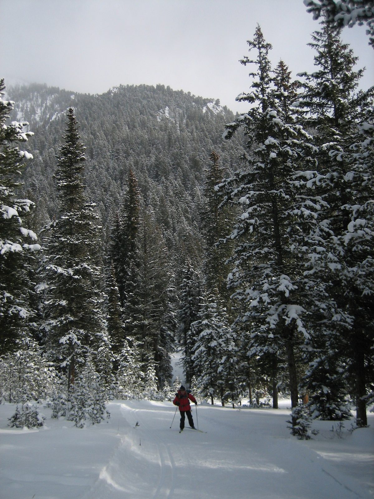 Dad skating uphill.