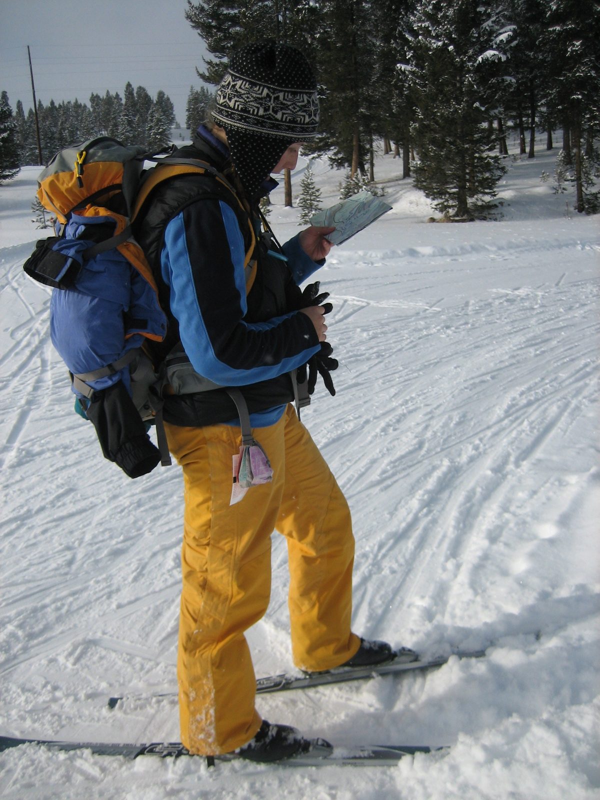 Catherine contemplates the map, after getting lost on a vehicular trail.