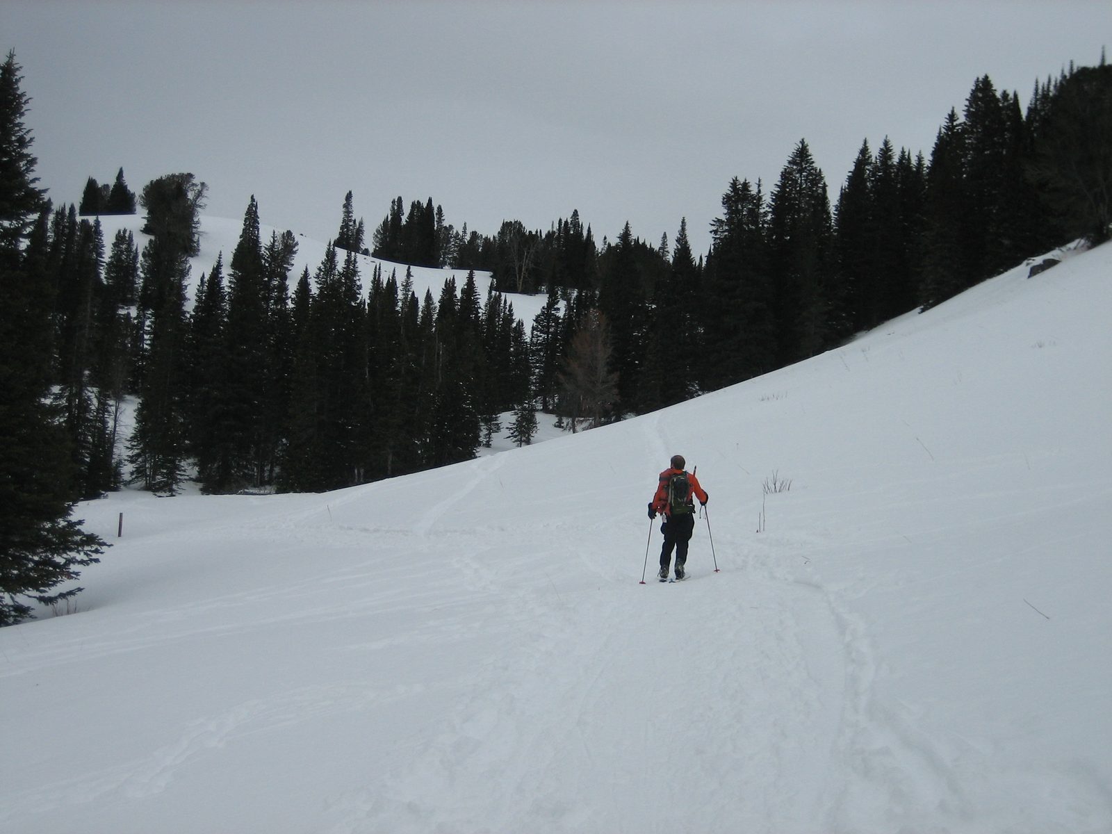 John trekking up the well broken (unlike last year) trail up Beehive Basin.