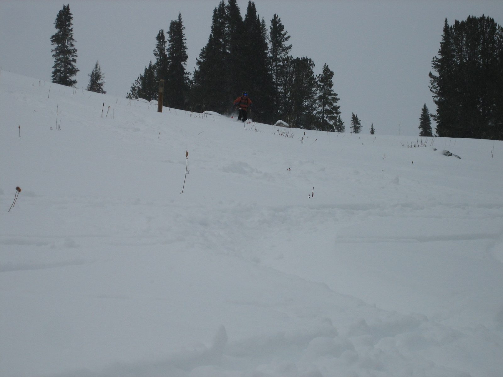 John skiing Beehive Basin (and blending in with the trees).