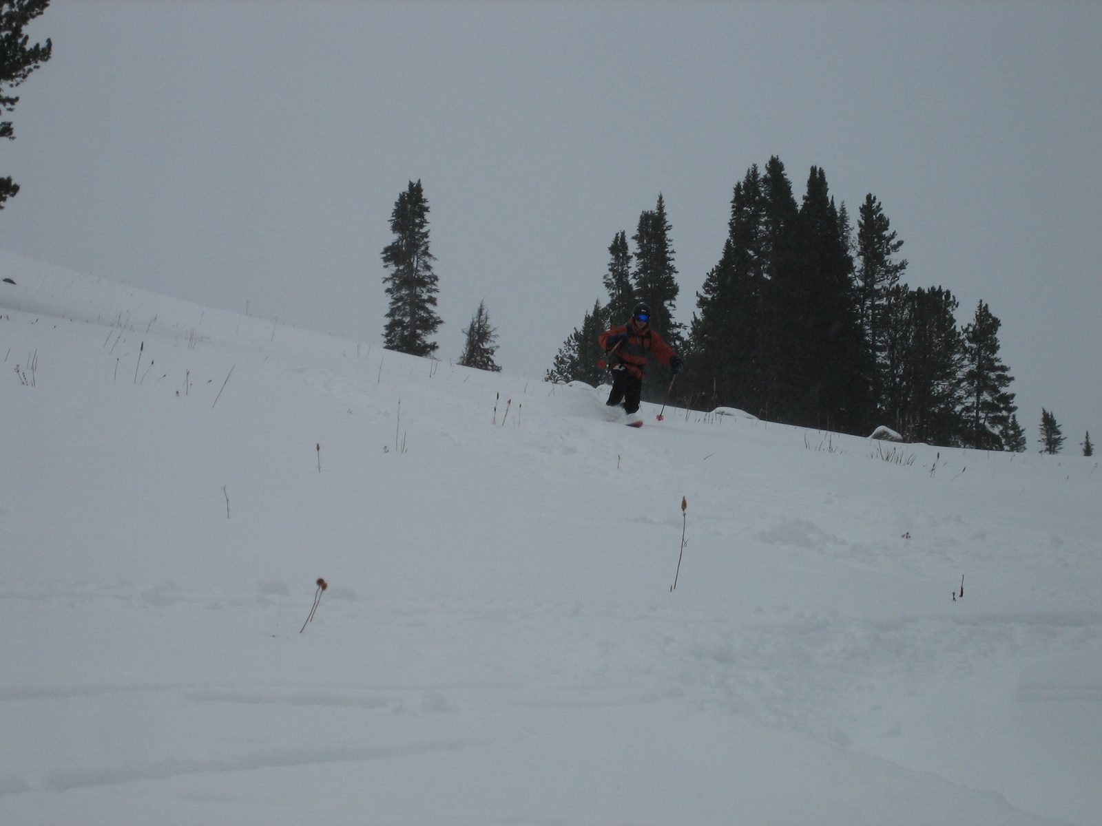 John, avoiding the weeds and logs: skiing Beehive Basin.