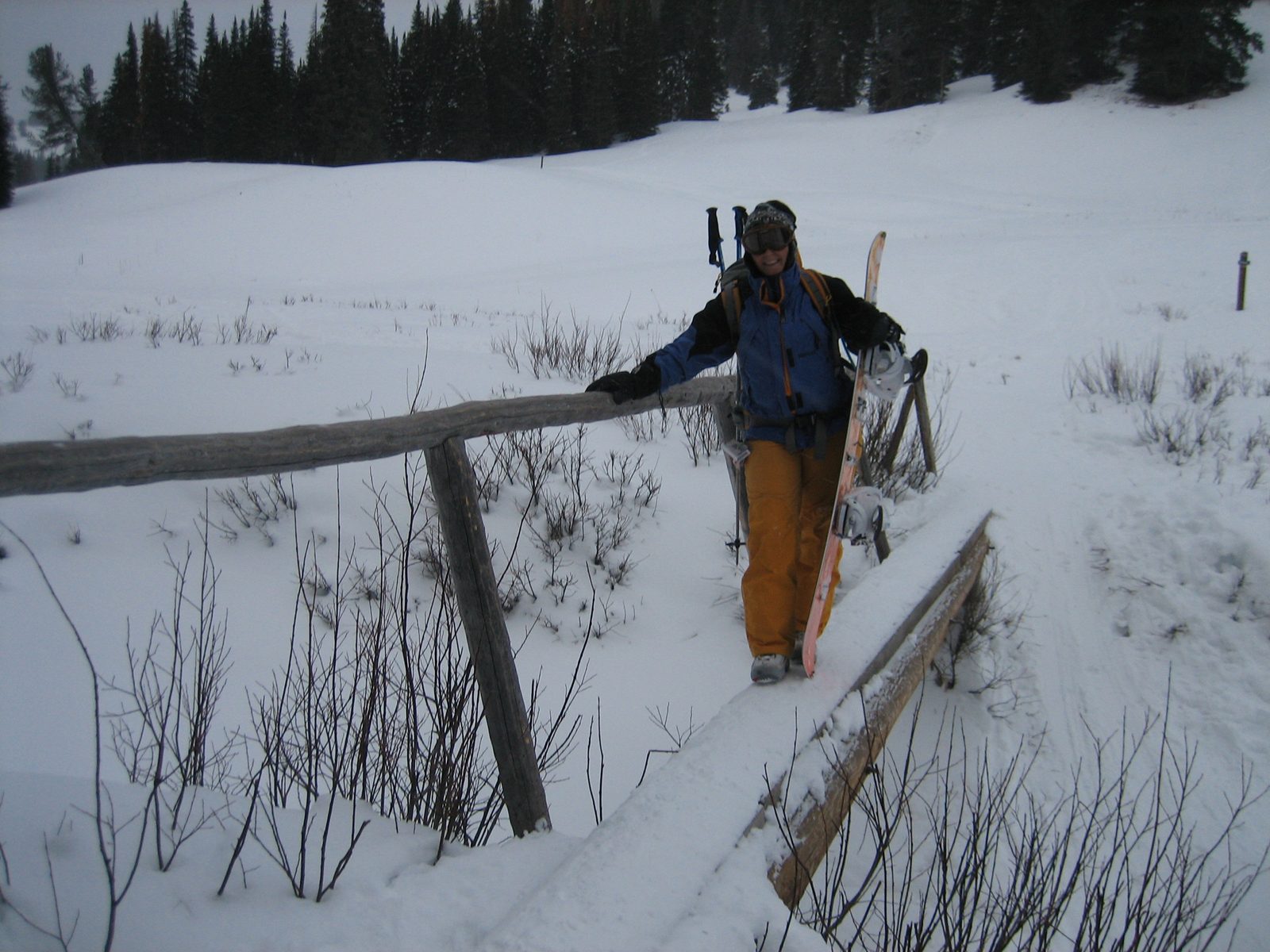 Catherine on a log bridge.