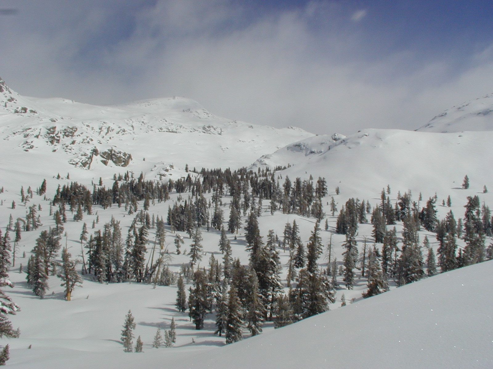 Looking eastward, just as I head above the timberline.  Alta Peak grows some unusually hearty...