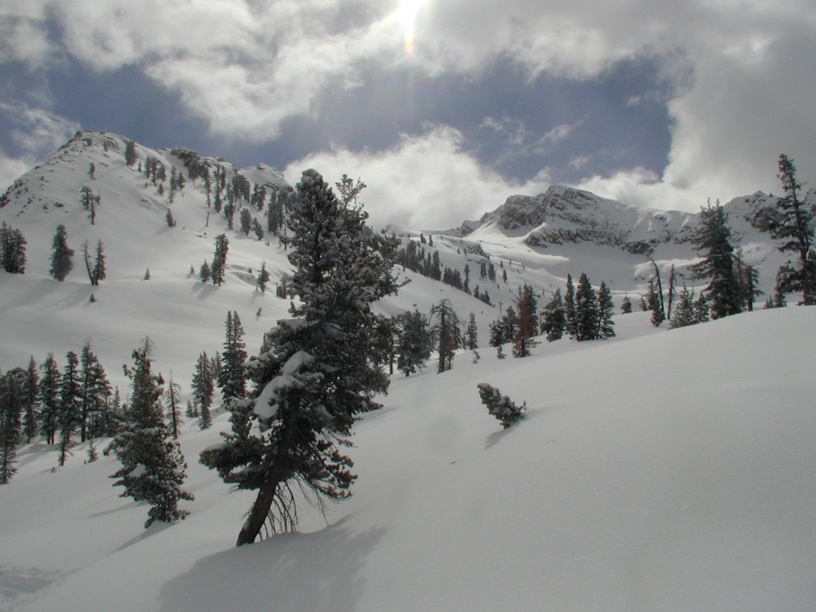 A farewell shot of Alta Peak.