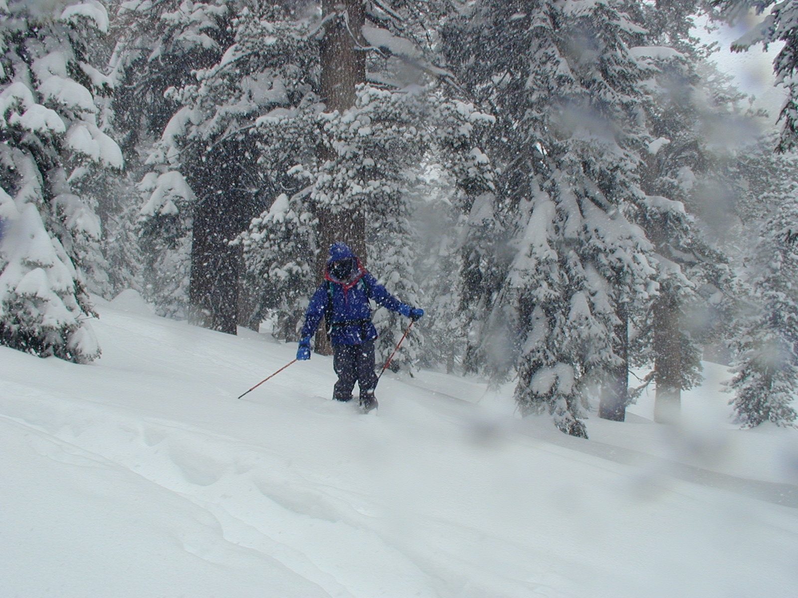 Alan, making the most of the slope with skins on.