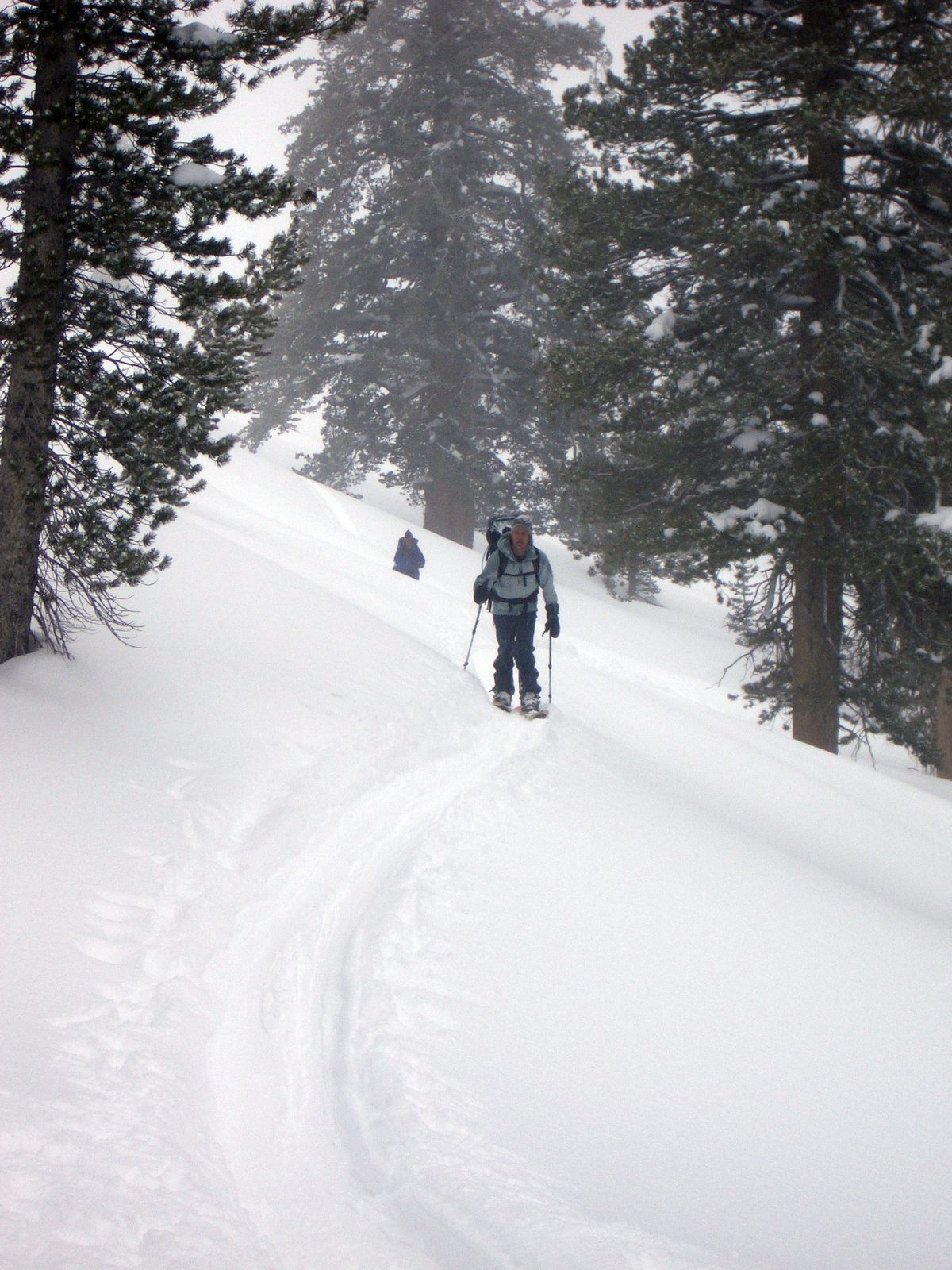 Al on the trail.