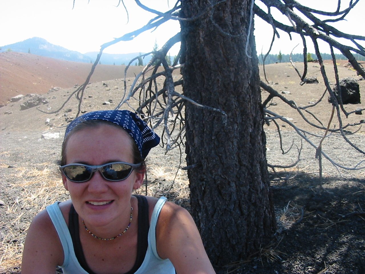 Rachel, seeking shade under the only tree for miles in the black-ash covered wasteland...