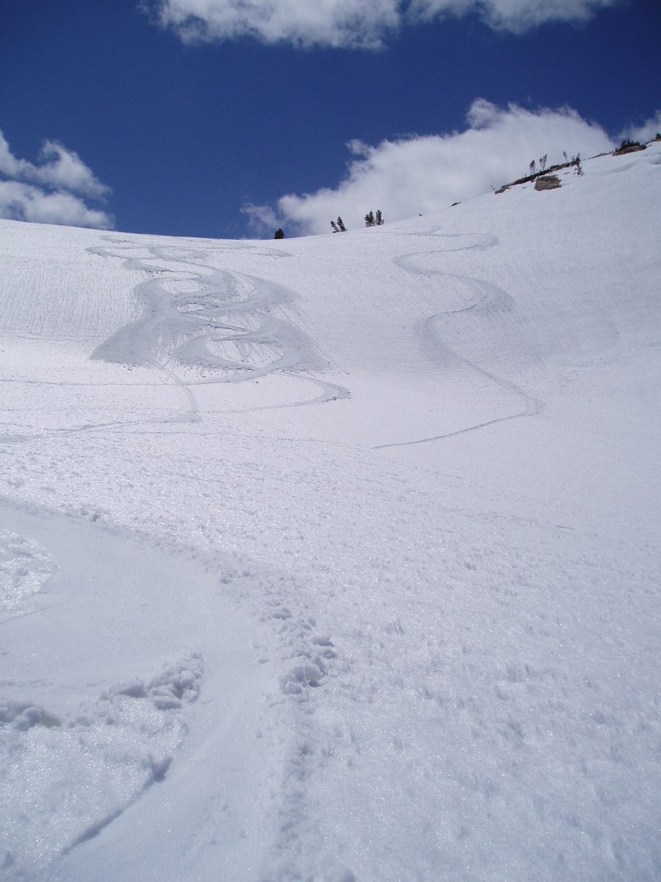 Tracks on the right are mine.
