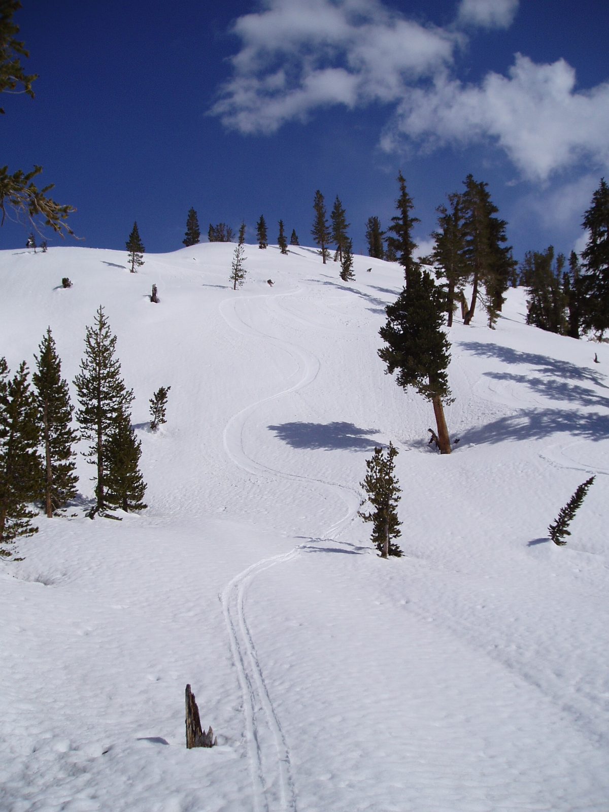 More pretty tracks.