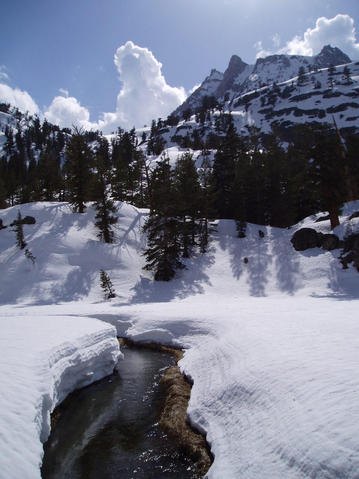 Running streams underneath cantalevered snow banks make me happy.