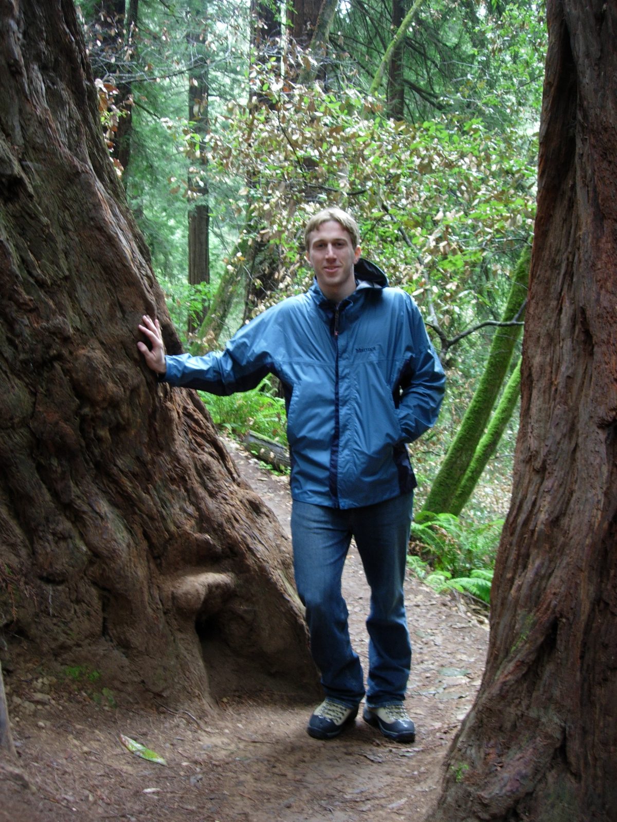 Trevor in Muir Woods.