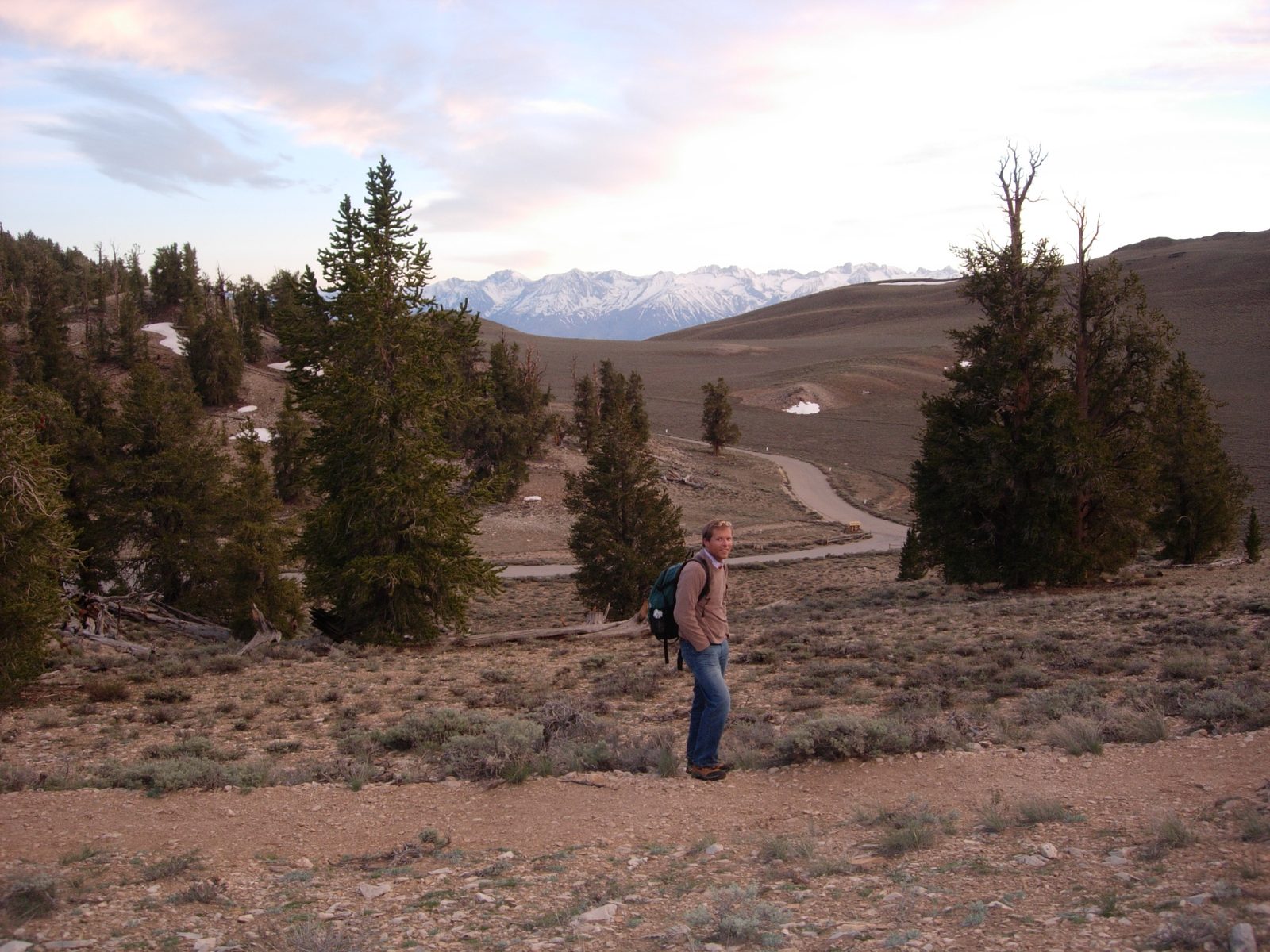 John among ancient bristlecone pine trees, at about 10,500 feet in the White Mountains.  The...