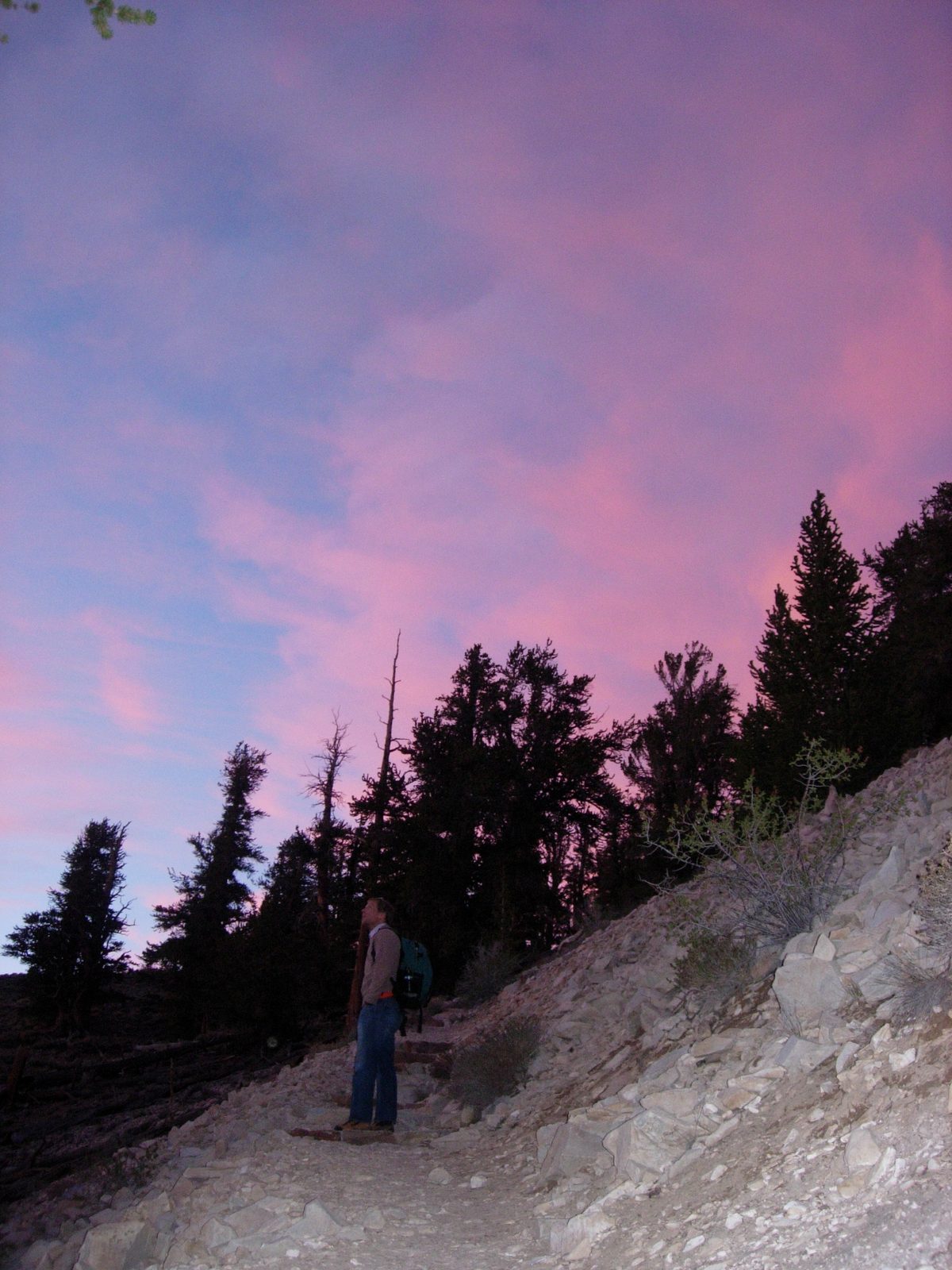 John looking out over the Sierra as the light quickly fades.
