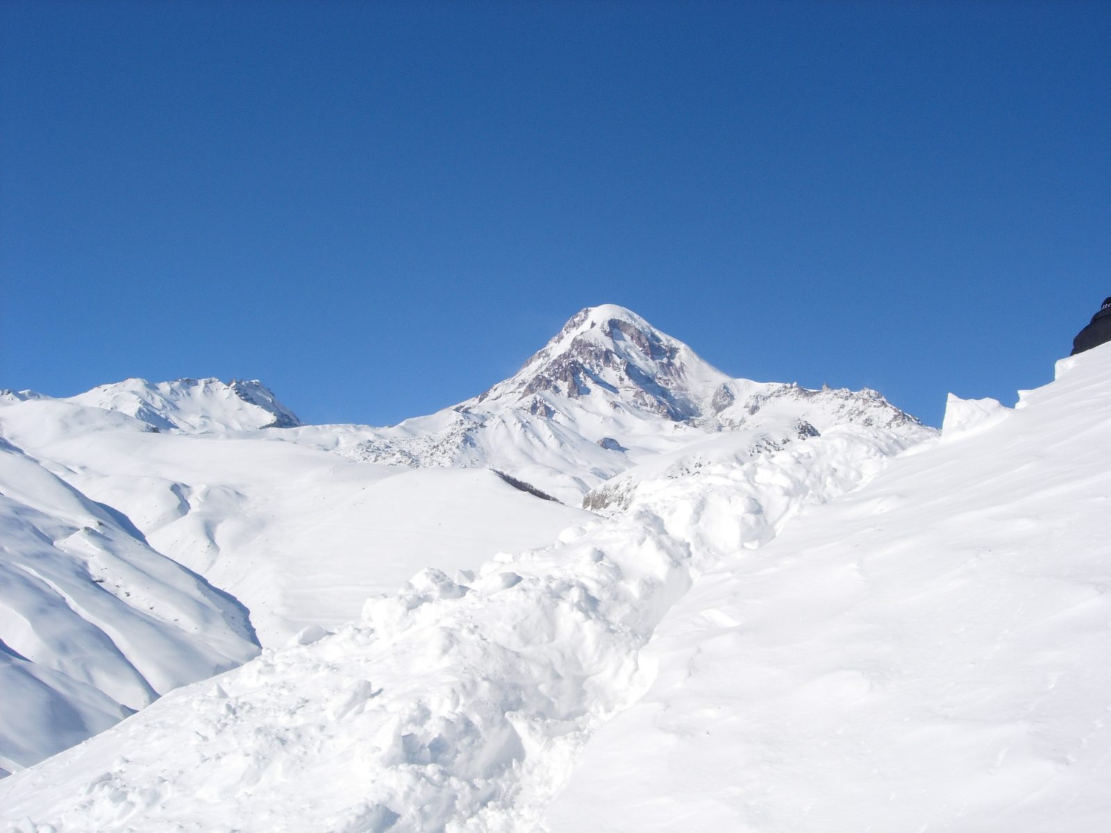Forthcoming