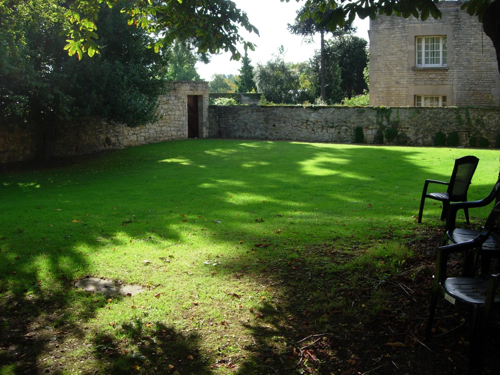 We have a large backyard at the Rose Lane Building. If you exit out the door in the corner and...