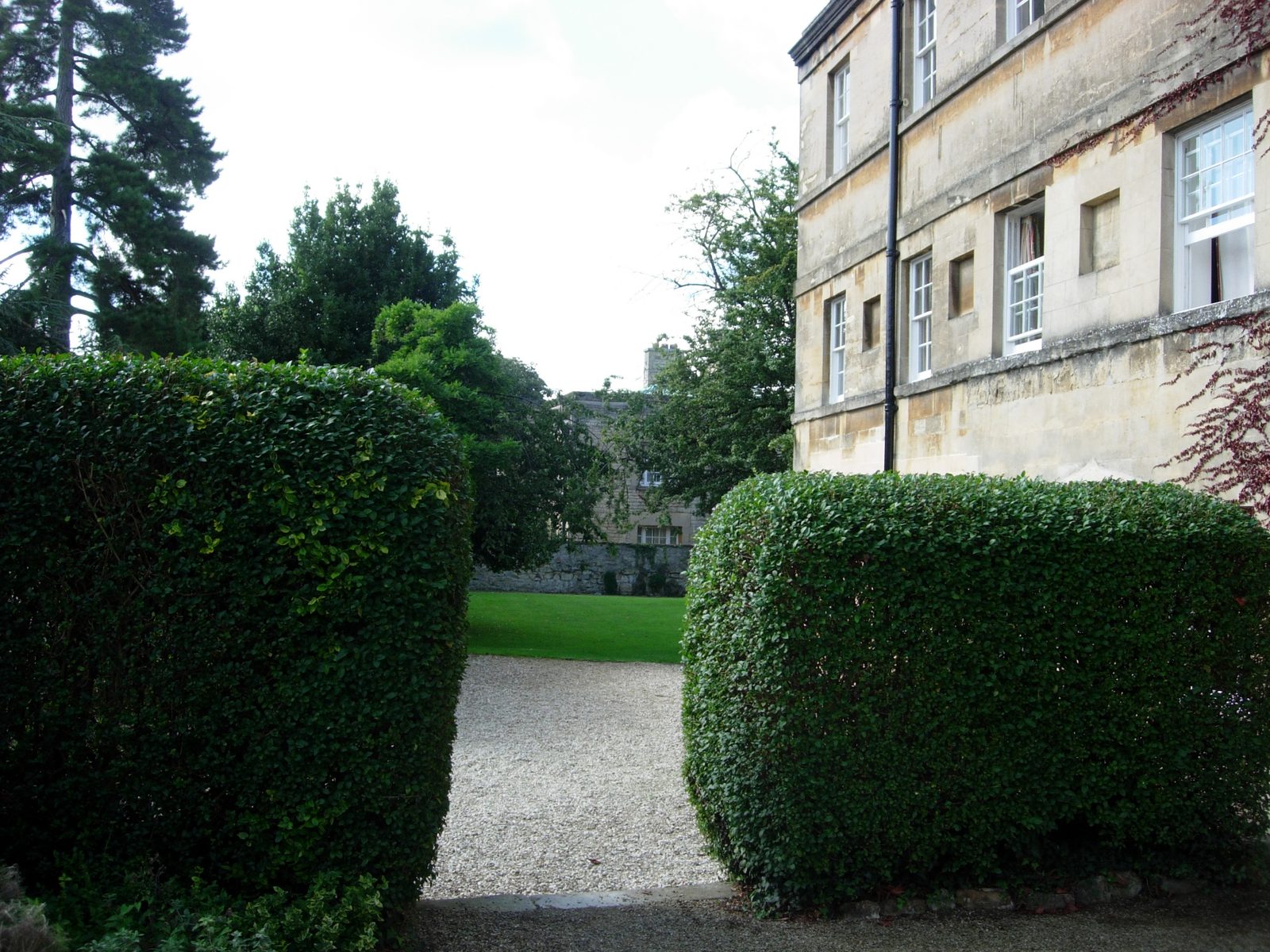Facing towards the Rose Lane Building from High Street