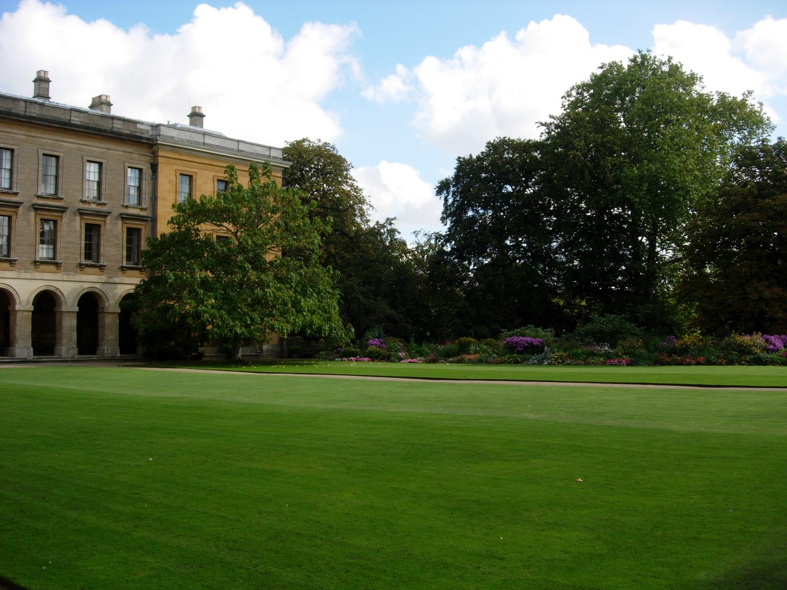 More of the lawn