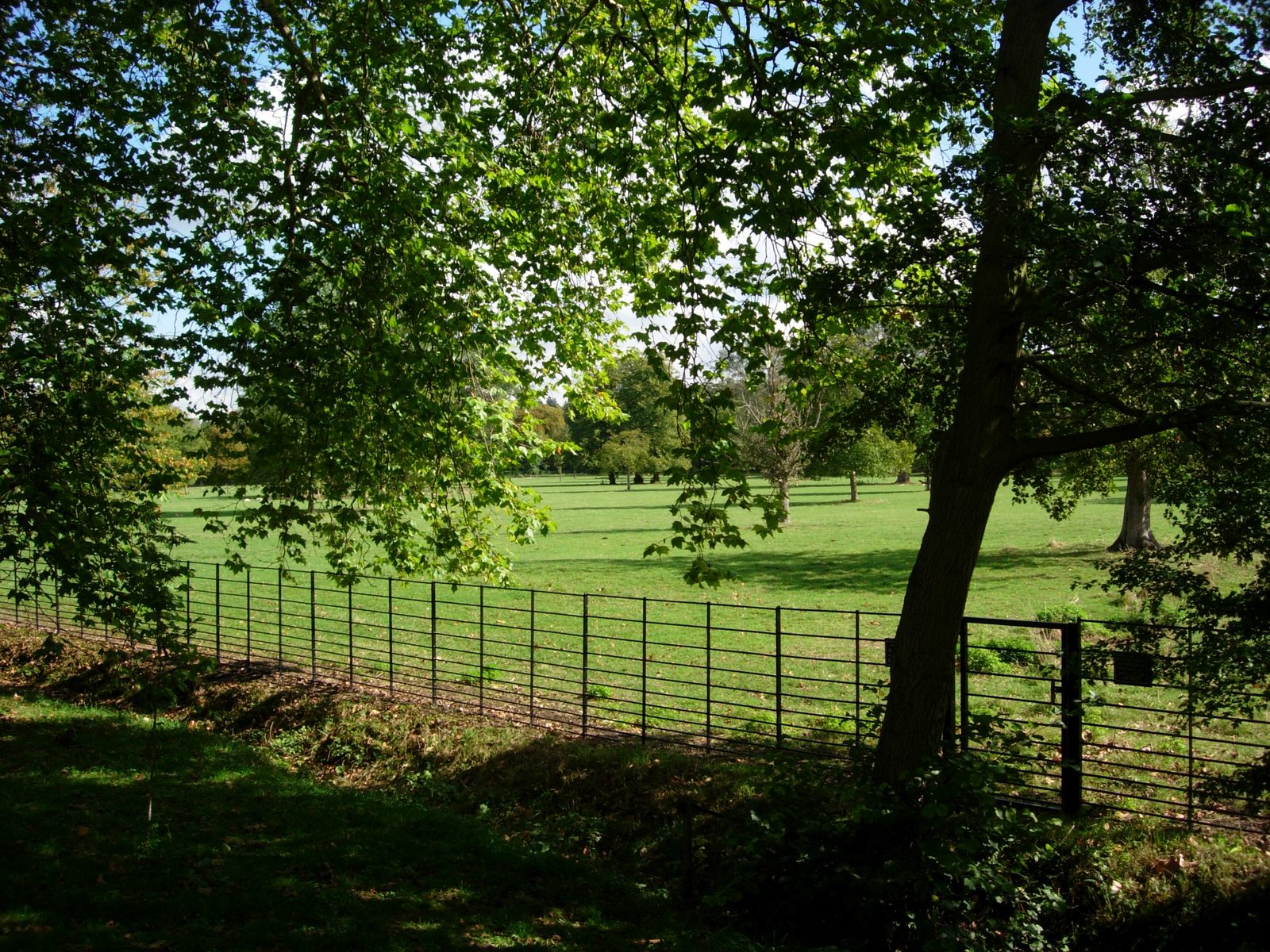 Another view of the Deer Park. It takes about 40 minutes to walk around the whole thing.