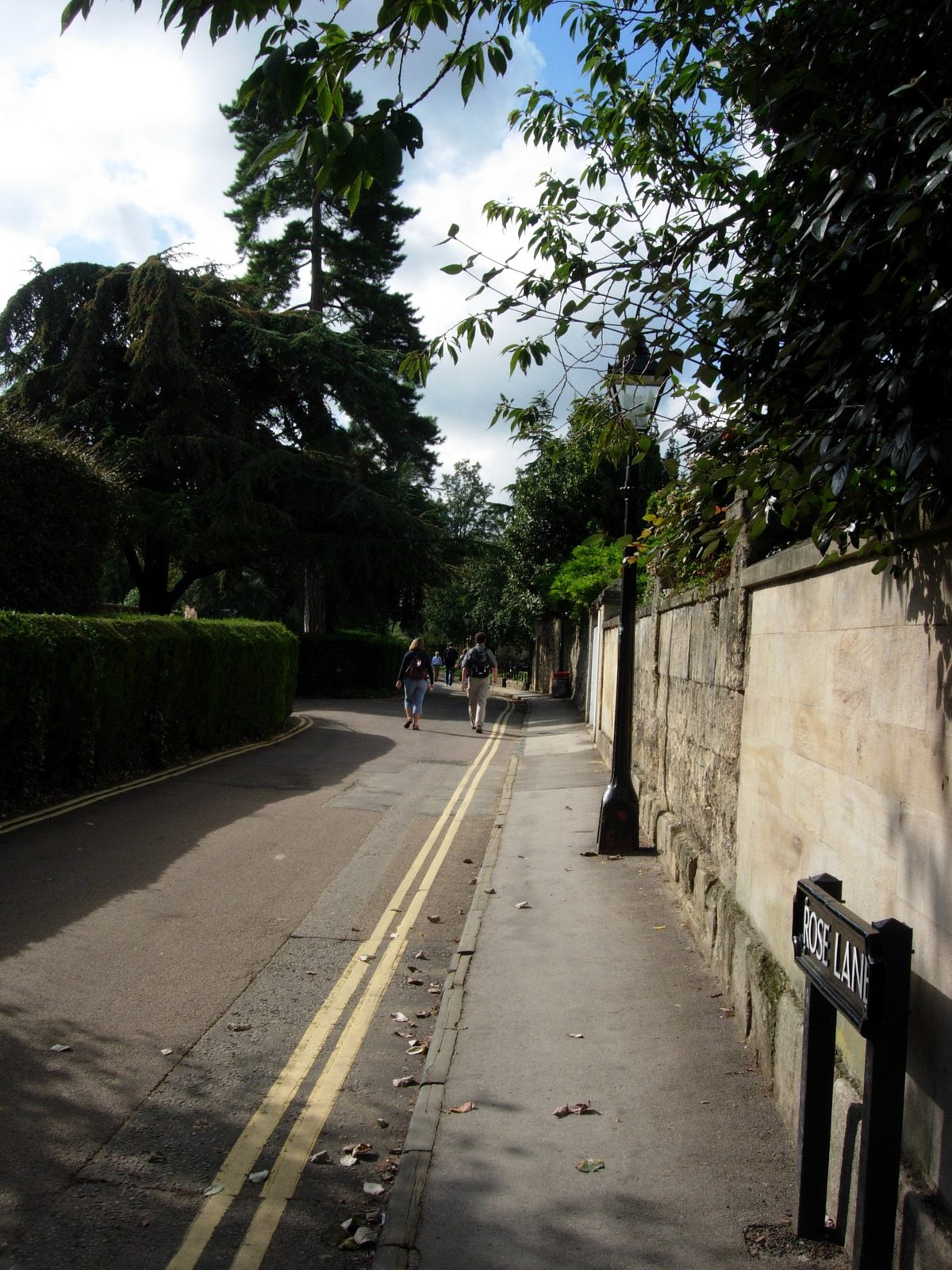 View down Rose Lane. My building is behind the wall on the right. The Botanic Garden is directly left.